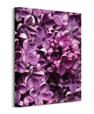 Kwiaty Bzu - Obraz na płótnie