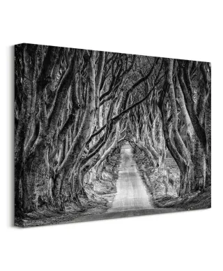 Droga przez las - Obraz na płótnie