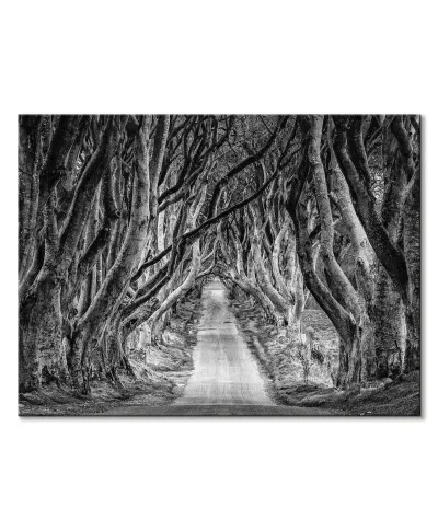 Droga przez las - Obraz na płótnie