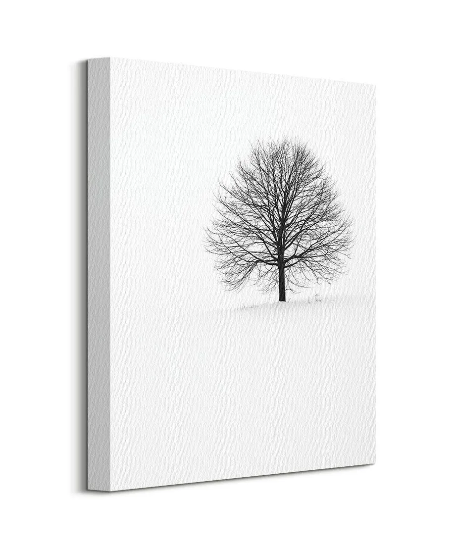 Samotne Drzewo - Obraz na płótnie