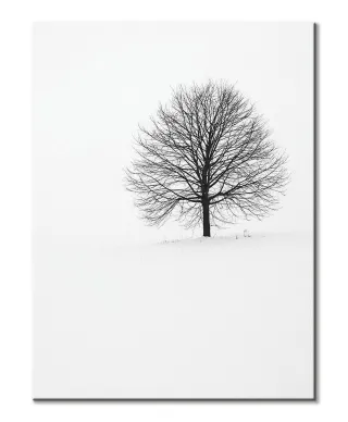 Samotne Drzewo - Obraz na płótnie