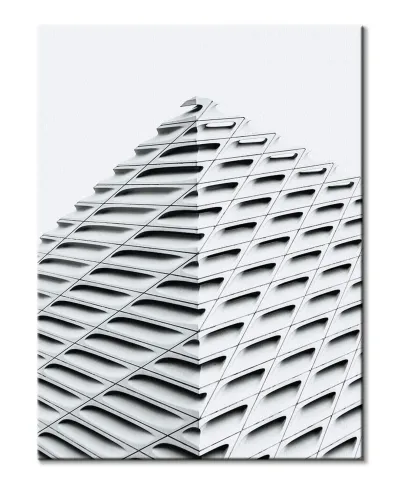 The Broad - Obraz na płótnie