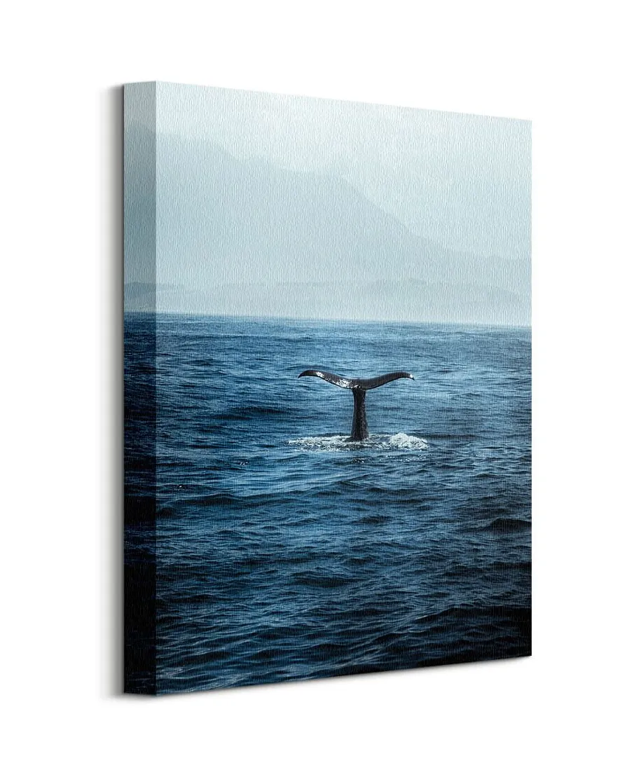 Ogon Wieloryba - Obraz na płótnie