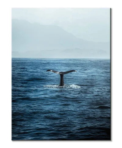 Ogon Wieloryba - Obraz na płótnie