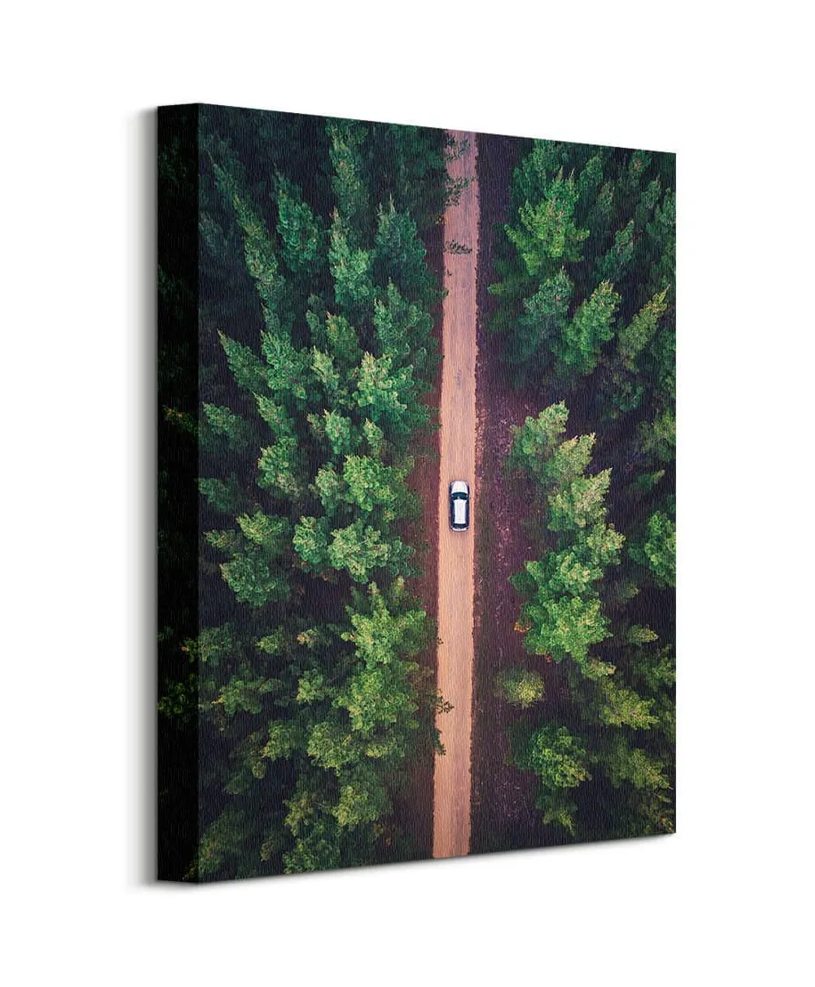 Leśna Droga - Obraz na płótnie