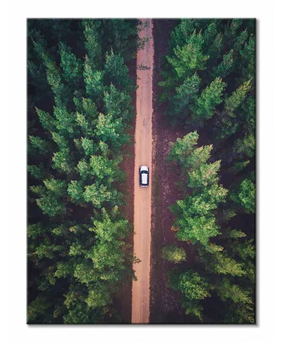 Leśna Droga - Obraz na płótnie