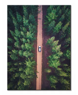 Leśna Droga - Obraz na płótnie