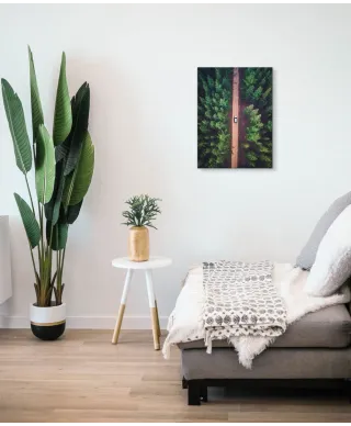 Leśna Droga - Obraz na płótnie