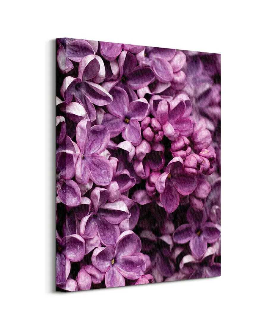 Kwiaty Bzu - obraz na płótnie