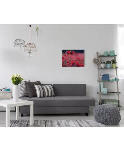 Maki na łące - obraz na płótnie