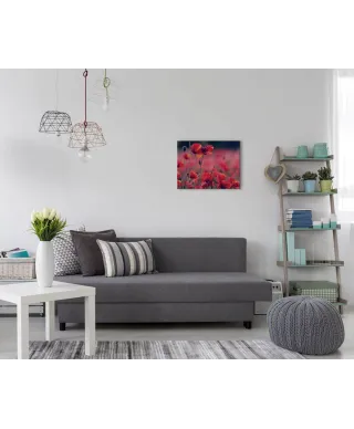 Maki na łące - obraz na płótnie