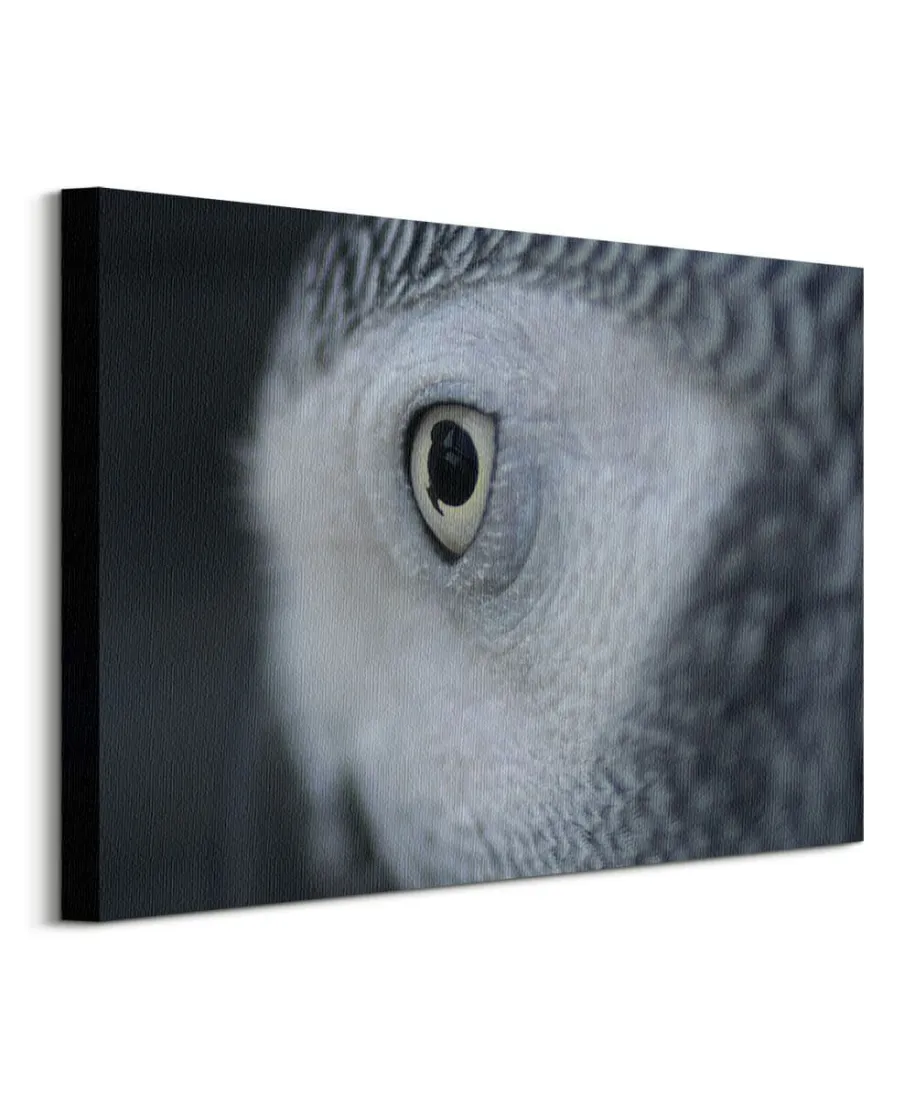 Oko Sowy - obraz na płótnie