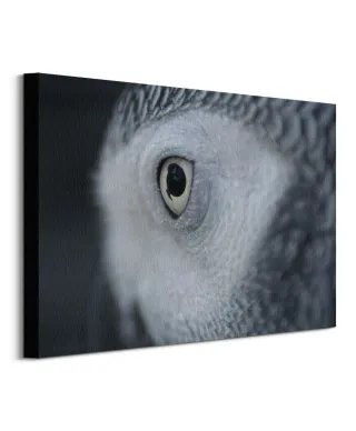 Oko Sowy - obraz na płótnie