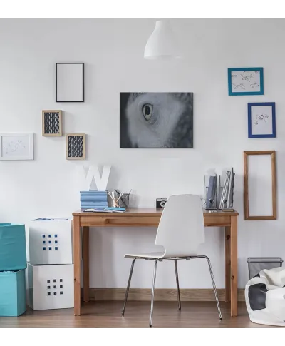 Oko Sowy - obraz na płótnie