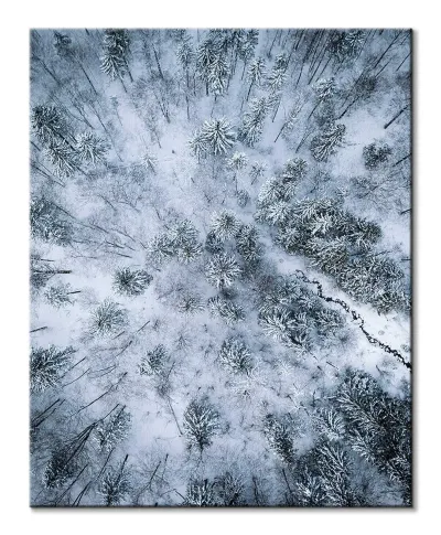 Zaśnieżony las - obraz na płótnie