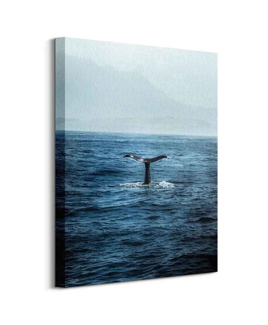 Ogon Wieloryba - obraz na płótnie