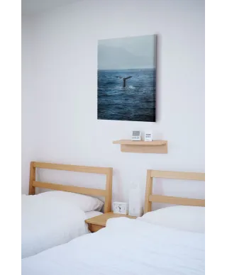 Ogon Wieloryba - obraz na płótnie