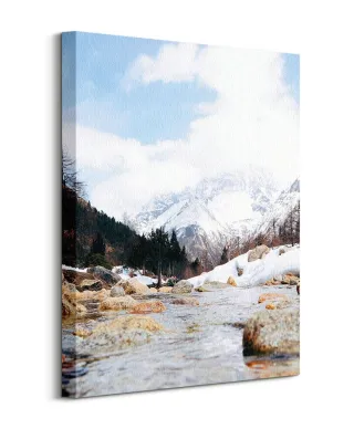 Górski strumyk - obraz na płótnie