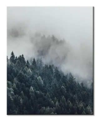 Zamglony Las - obraz na płótnie