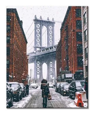 Zimowy Brooklyn - obraz na płótnie