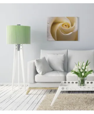 Kremowa Róża - obraz na płótnie