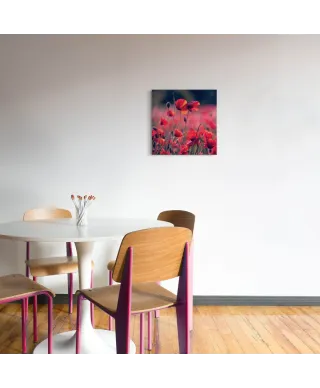 Maki na łące - obraz na płótnie