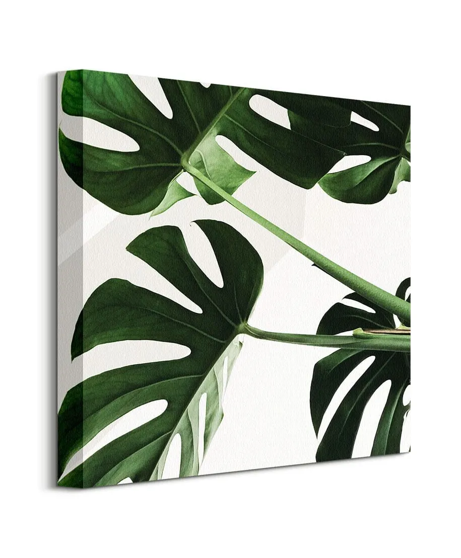 Egzotyczne liście - obraz na płótnie