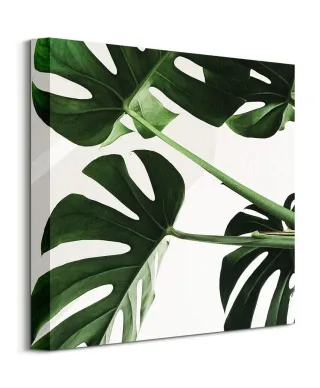 Egzotyczne liście - obraz na płótnie