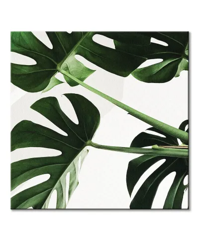 Egzotyczne liście - obraz na płótnie