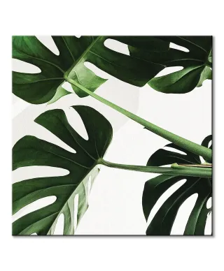 Egzotyczne liście - obraz na płótnie