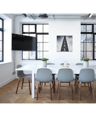 Spitz - obraz na płótnie