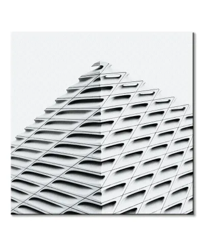 The Broad - obraz na płótnie