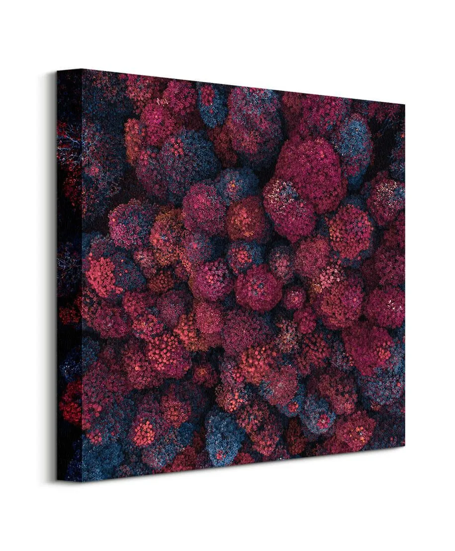 Barwy Jesieni - Obraz na płótnie