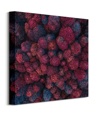 Barwy Jesieni - Obraz na płótnie