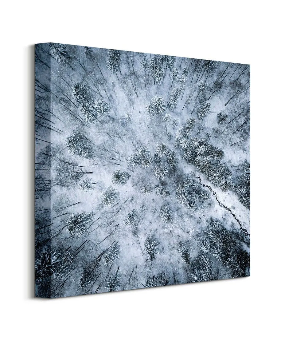Zaśnieżony las - obraz na płótnie