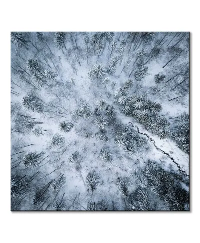 Zaśnieżony las - obraz na płótnie