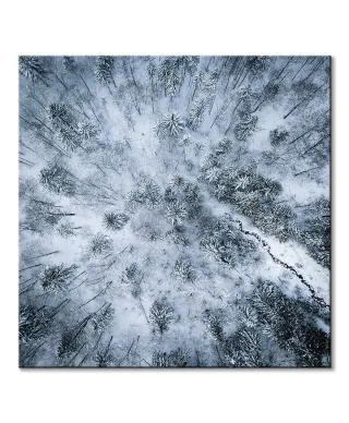 Zaśnieżony las - obraz na płótnie