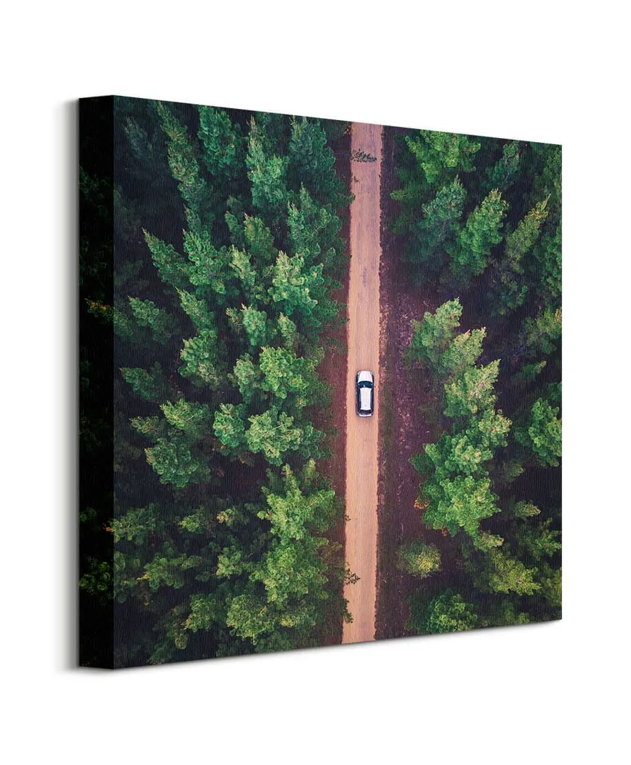 Leśna Droga - obraz na płótnie