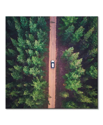 Leśna Droga - obraz na płótnie