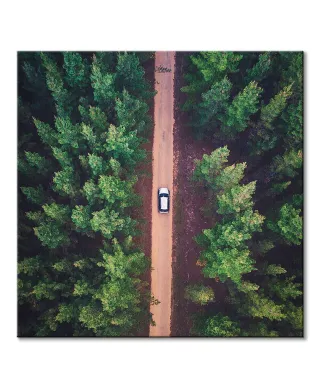 Leśna Droga - obraz na płótnie