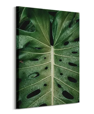 Monstera - obraz na płótnie