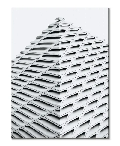 The Broad - obraz na płótnie