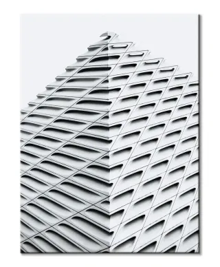 The Broad - obraz na płótnie