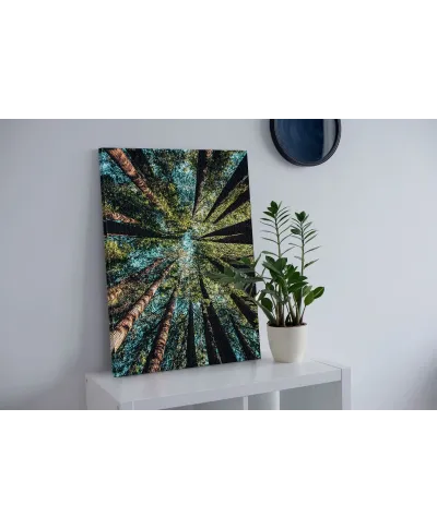 Looking up - obraz na płótnie