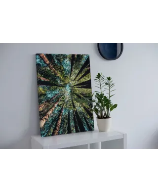 Looking up - obraz na płótnie