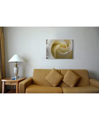 Kremowa Róża - obraz na płótnie