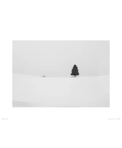Zimowa polana - reprodukcja