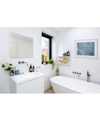 Pająk na pajęczynie - reprodukcja