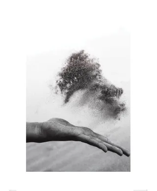 Czarno-biały Pył - reprodukcja