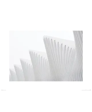 White architecture - reprodukcja